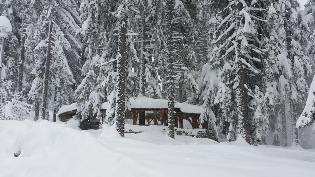 Elina Hotel Pamporovo Extérieur photo