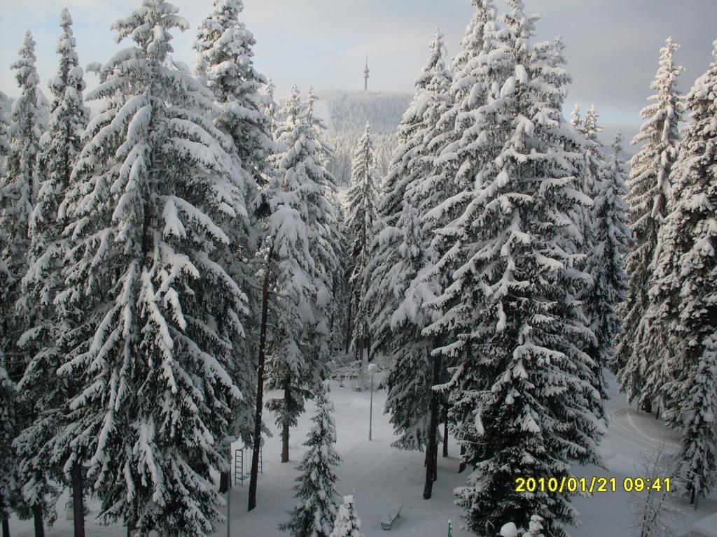 Elina Hotel Pamporovo Extérieur photo