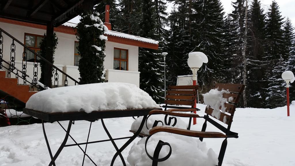 Elina Hotel Pamporovo Extérieur photo
